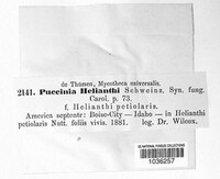Image Associated With the Occurence